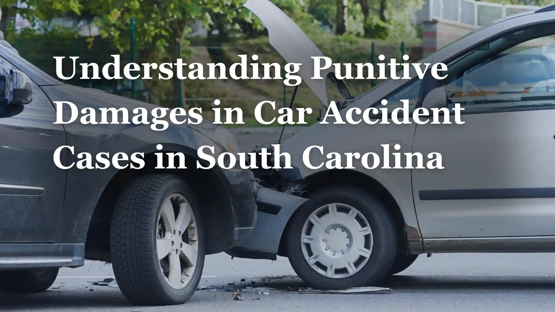 Understanding Punitive Damages in Car Accident Cases in South Carolina Image