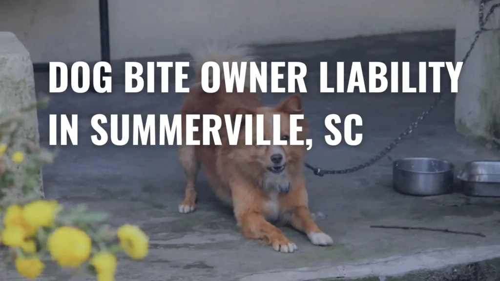 Dog Bite Owner Liability in Summerville, SC Image